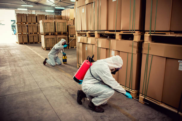 Best Best Pest Control Companies  in Morrow, OH