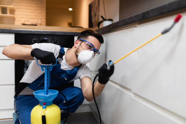 Best Pest Inspection Near Me  in Morrow, OH