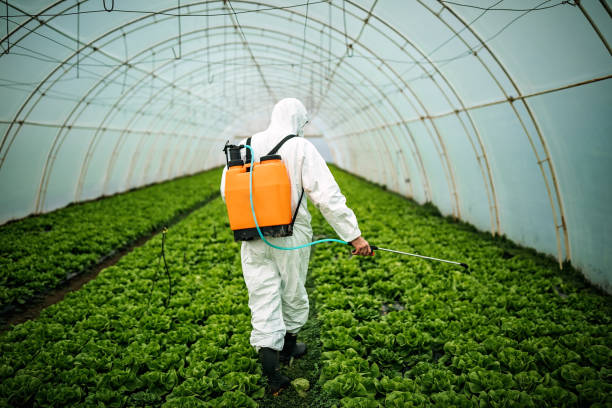 Best Commercial Pest Control Services  in Morrow, OH