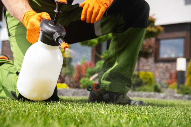 Best Wasp Removal Services  in Morrow, OH