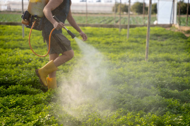 Best Pest Removal Services  in Morrow, OH