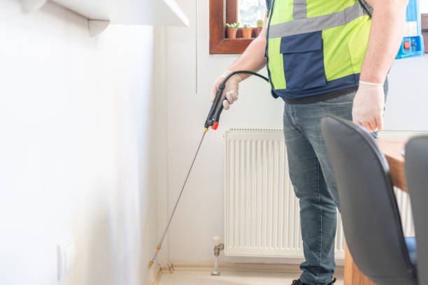 Best Emergency Pest Control  in Morrow, OH