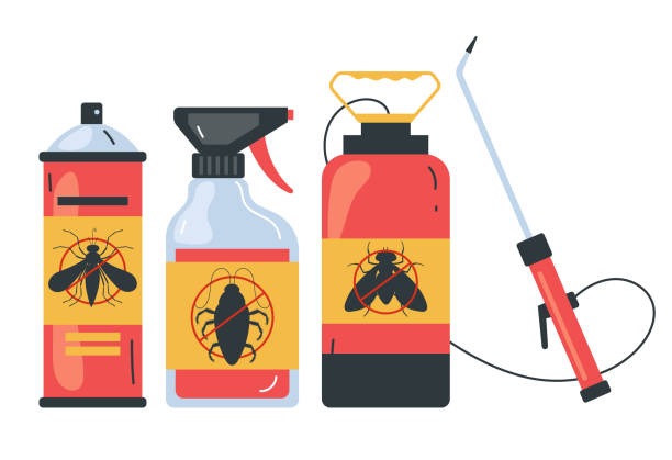 Wasp Removal Services in Morrow, OH