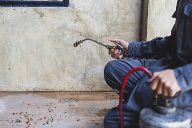 Best Residential Pest Control  in Morrow, OH