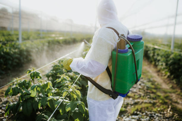Best Affordable Pest Control Services  in Morrow, OH
